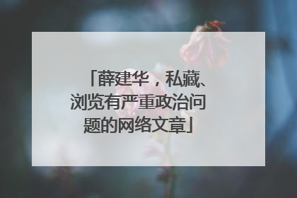 薛建华，私藏、浏览有严重政治问题的网络文章