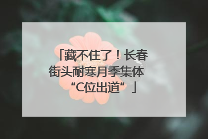 藏不住了！长春街头耐寒月季集体“C位出道”