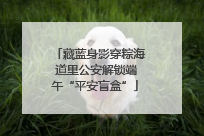 藏蓝身影穿粽海 道里公安解锁端午“平安盲盒”