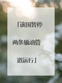 该国暂停两条输油管道运行
