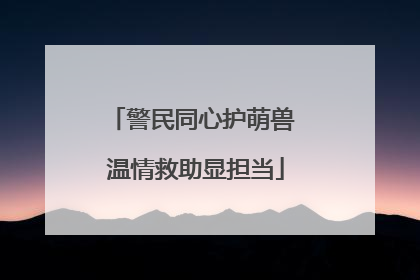 警民同心护萌兽 温情救助显担当