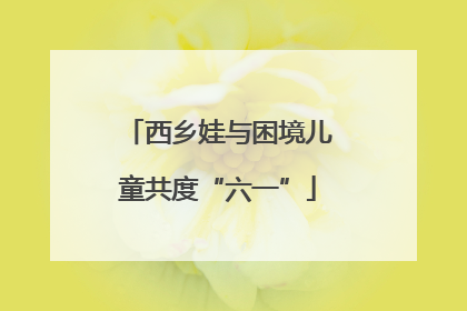 西乡娃与困境儿童共度“六一”