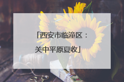 西安市临潼区：关中平原夏收