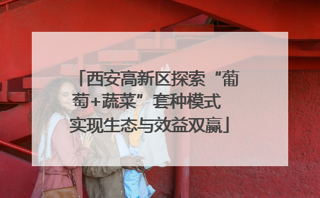 西安高新区探索“葡萄+蔬菜”套种模式 实现生态与效益双赢