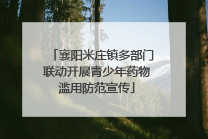 襄阳米庄镇多部门联动开展青少年药物滥用防范宣传