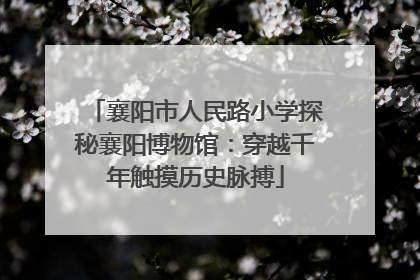 襄阳市人民路小学探秘襄阳博物馆：穿越千年触摸历史脉搏
