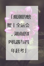 观潮的螃蟹丨全运会，湖南的IP机遇与四年赶考