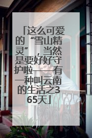 这么可爱的“雪山精灵”，当然是要好好守护啦——有一种叫云南的生活之365天