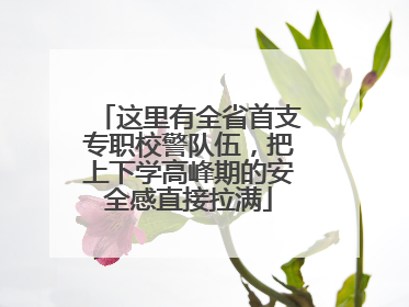 这里有全省首支专职校警队伍，把上下学高峰期的安全感直接拉满
