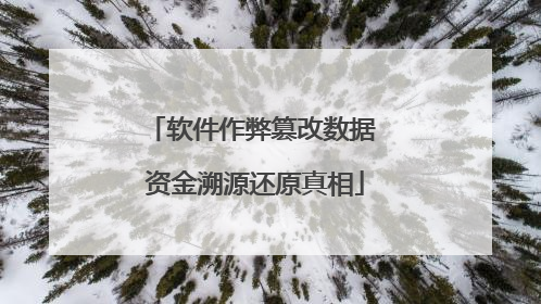 软件作弊篡改数据 资金溯源还原真相