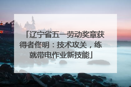 辽宁省五一劳动奖章获得者佟明：技术攻关，练就带电作业新技能