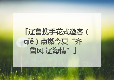 辽鲁携手花式邀客（qiě）点燃今夏“齐鲁风 辽海情”