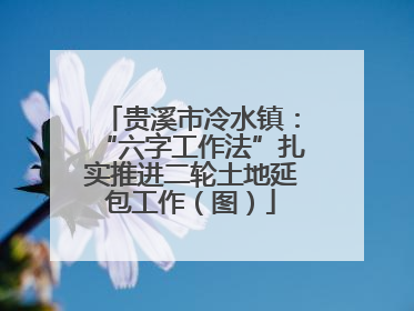 贵溪市冷水镇：“六字工作法”扎实推进二轮土地延包工作（图）
