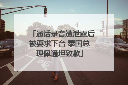 通话录音遭泄露后被要求下台 泰国总理佩通坦致歉