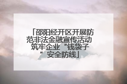邵阳经开区开展防范非法金融宣传活动 筑牢企业“钱袋子”安全防线