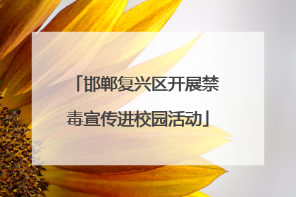 邯郸复兴区开展禁毒宣传进校园活动