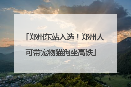 郑州东站入选！郑州人可带宠物猫狗坐高铁