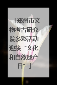 郑州市文物考古研究院多彩活动迎接“文化和自然遗产日”