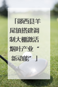 郧西县羊尾镇搭建调制大棚激活烟叶产业“新动能”