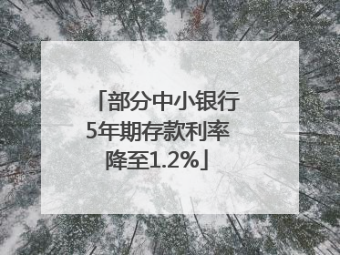 部分中小银行5年期存款利率降至1.2%