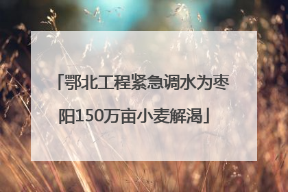 鄂北工程紧急调水为枣阳150万亩小麦解渴