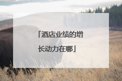 酒店业绩的增长动力在哪