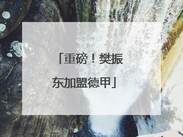 重磅！樊振东加盟德甲