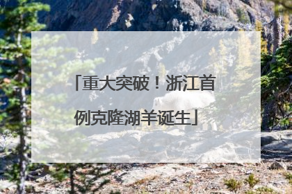 重大突破！浙江首例克隆湖羊诞生