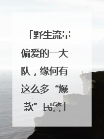 野生流量偏爱的一大队，缘何有这么多“爆款”民警