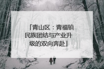 青山区：青福镇民族团结与产业升级的双向奔赴