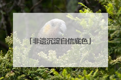 非遗沉淀自信底色