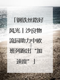 钢铁丝路好风光丨沙良物流园助力中欧班列跑出“加速度”