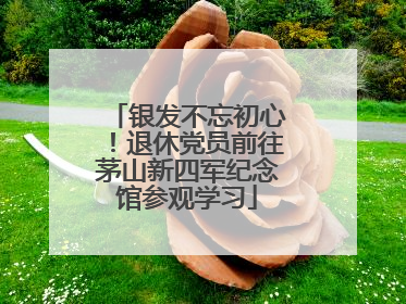银发不忘初心！退休党员前往茅山新四军纪念馆参观学习