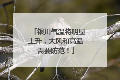 银川气温将明显上升，大风和高温需要防范！