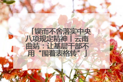锲而不舍落实中央八项规定精神丨云南曲靖：让基层干部不用“围着表格转”