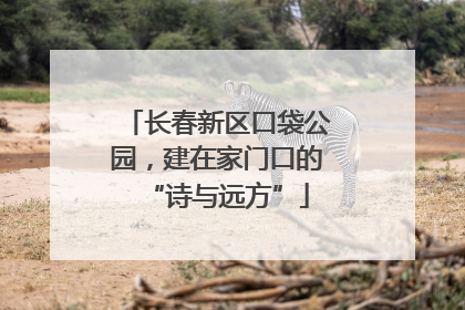 长春新区口袋公园，建在家门口的“诗与远方”