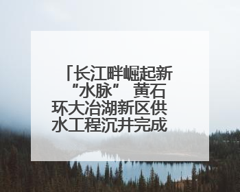 长江畔崛起新“水脉” 黄石环大冶湖新区供水工程沉井完成底板浇筑