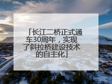 长江二桥正式通车30周年，实现了斜拉桥建设技术的自主化
