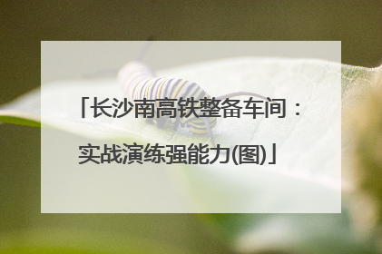 长沙南高铁整备车间：实战演练强能力(图)