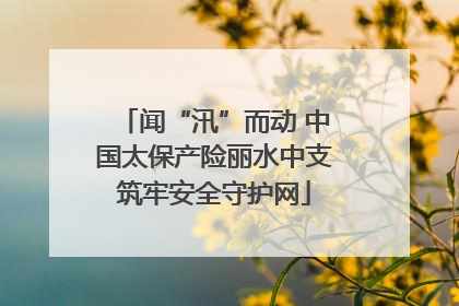 闻“汛”而动 中国太保产险丽水中支筑牢安全守护网