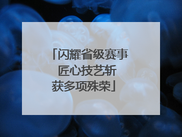闪耀省级赛事  匠心技艺斩获多项殊荣