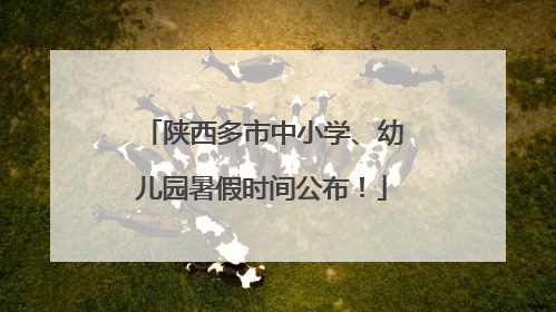 陕西多市中小学、幼儿园暑假时间公布！