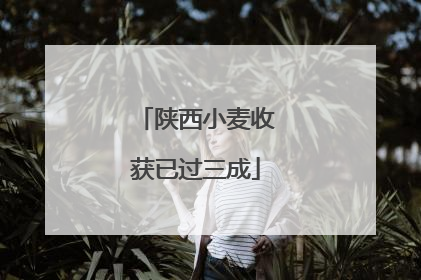 陕西小麦收获已过三成