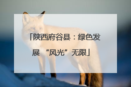 陕西府谷县：绿色发展 “风光”无限