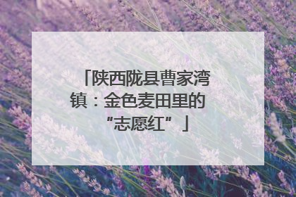 陕西陇县曹家湾镇：金色麦田里的“志愿红”