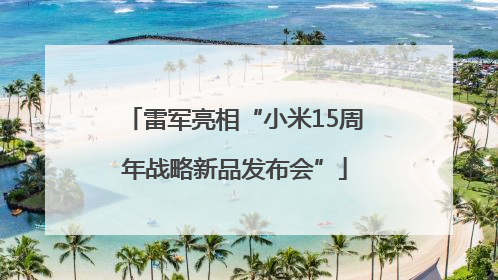 雷军亮相“小米15周年战略新品发布会”