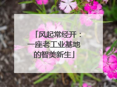 风起常经开：一座老工业基地的智美新生