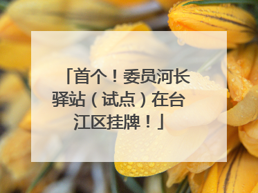 首个！委员河长驿站（试点）在台江区挂牌！
