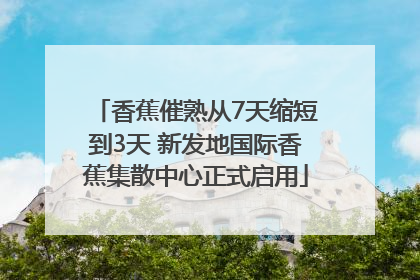 香蕉催熟从7天缩短到3天 新发地国际香蕉集散中心正式启用