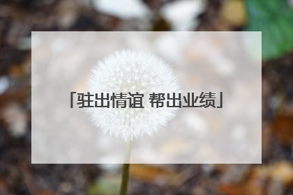 驻出情谊 帮出业绩